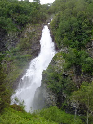 Flaam (110)