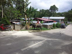 Pilippinen - 2013  (1130)_1