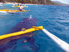 Pilippinen - 2013  (147) - Kopie