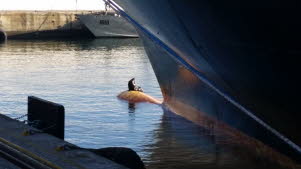 Tag 16 - In Valparaiso bei Ausschiffung