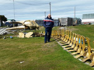 Tag 6 - Falkland (221)