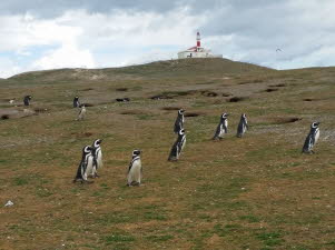 Tag 8 - Magdallenen Insel